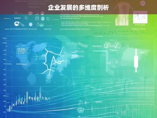 企业发展的多维度剖析，企业发展的多维度解读