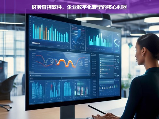 财务管控软件，驱动企业数字化转型的核心利器