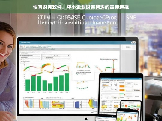 中小企业财务管理利器，便宜财务软件推荐