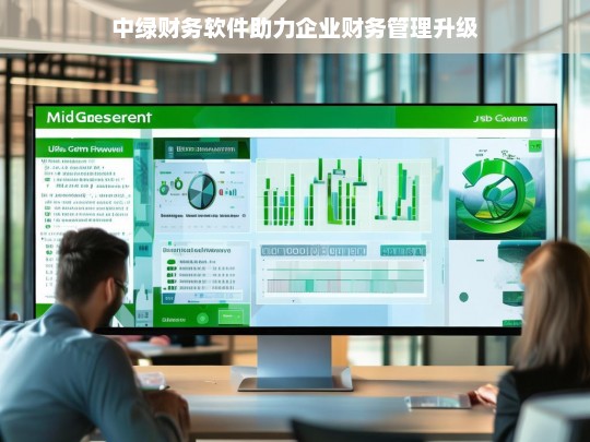 中绿财务软件助力企业财务管理升级，中绿财务软件，推动企业财务管理升级的得力助手