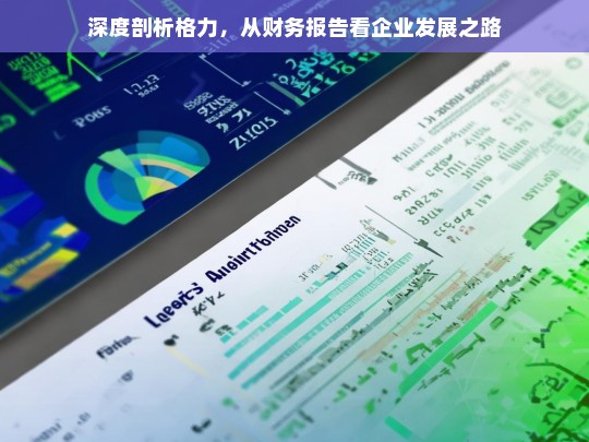 深度剖析格力，从财务报告看企业发展之路，格力财务报告与企业发展剖析