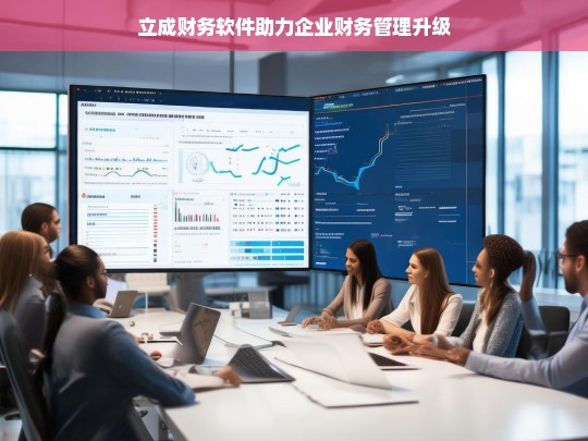 立成财务软件助力企业财务管理升级，立成财务软件，推动企业财务管理升级的助力器