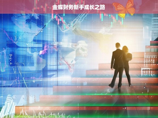 金蝶财务新手成长之路，金蝶财务新手的成长历程