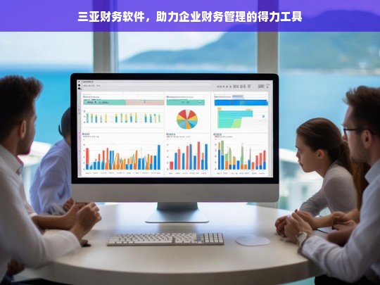 三亚财务软件，助力企业财务管理的得力工具，三亚财务软件，企业财务管理的得力助手