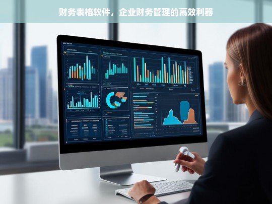 财务表格软件，企业财务管理的效率提升利器