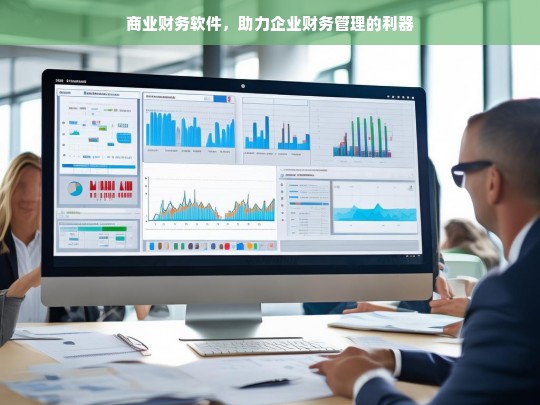 商业财务软件，助力企业财务管理的利器，商业财务软件，企业财务管理的得力助手