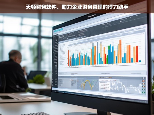 天顿财务软件，助力企业财务管理的得力助手，天顿财务软件，企业财务管理的得力助手