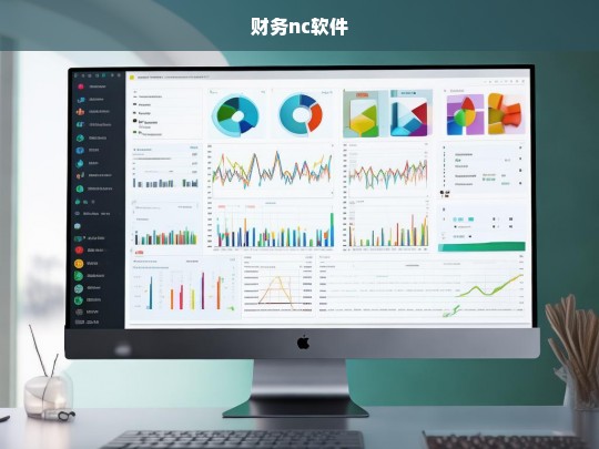 财务NC软件，企业财务管理的高效解决方案