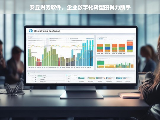 安丘财务软件，助力企业高效实现数字化转型