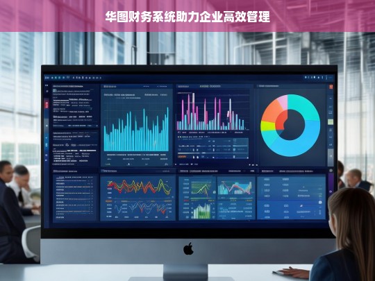 华图财务系统助力企业高效管理，华图财务系统，企业高效管理的助力器