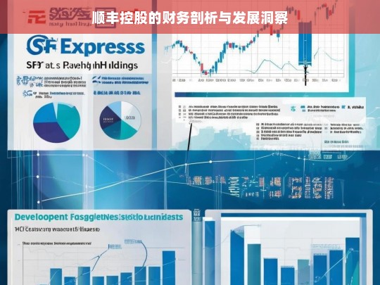 顺丰控股的财务剖析与发展洞察，顺丰控股财务与发展剖析洞察