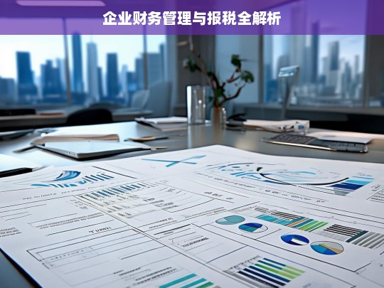 企业财务管理与报税全解析，企业财务管理与报税解析