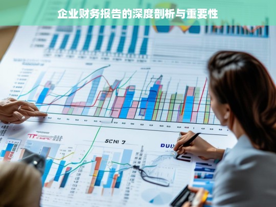 企业财务报告的深度剖析与重要性，企业财务报告，深度剖析与重要性探讨