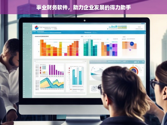 事业财务软件，助力企业发展的得力助手，事业财务软件，企业发展的得力助手