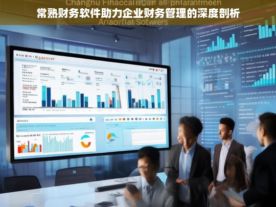 常熟财务软件助力企业财务管理的深度剖析，常熟财务软件与企业财务管理剖析