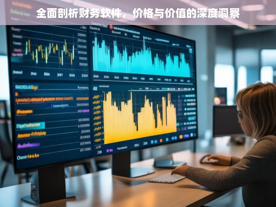 全面剖析财务软件，价格与价值的深度洞察，财务软件，价格与价值的全面剖析