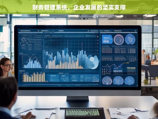 财务管理系统，企业发展的坚实支撑，财务管理系统，企业坚实的发展支撑