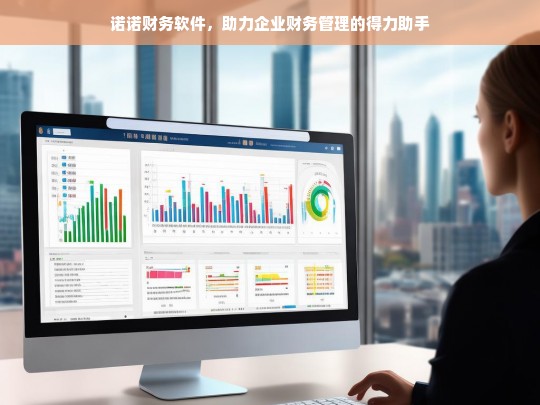 诺诺财务软件，助力企业财务管理的得力助手，诺诺财务软件，企业财务管理的得力助手