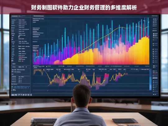 财务制图软件助力企业财务管理的多维度解析，财务制图软件与企业财务管理解析
