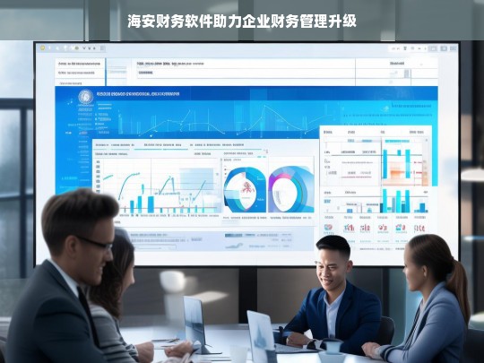 海安财务软件助力企业财务管理升级，海安财务软件，推动企业财务管理升级的得力助手