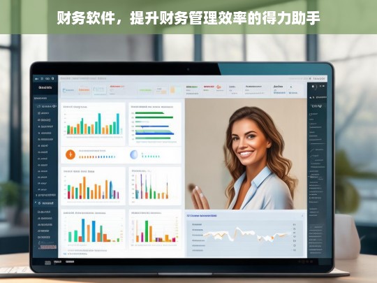 财务软件，提升财务管理效率的得力助手，财务软件，财务管理效率的得力助手