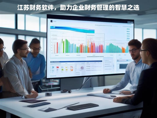江苏财务软件，助力企业财务管理的智慧之选，江苏财务软件，企业财务管理的智慧助力