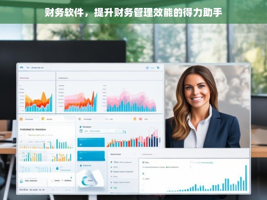 财务软件，提升财务管理效能的得力助手，财务软件，财务管理效能提升之助手