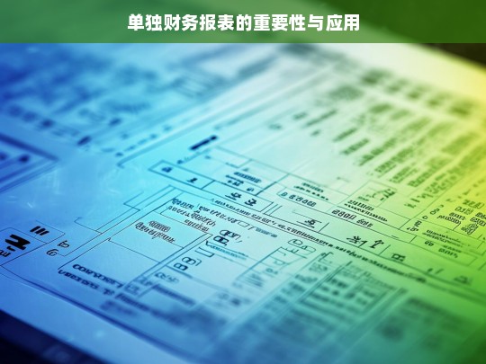 单独财务报表的重要性与应用，单独财务报表的重要性及应用探讨