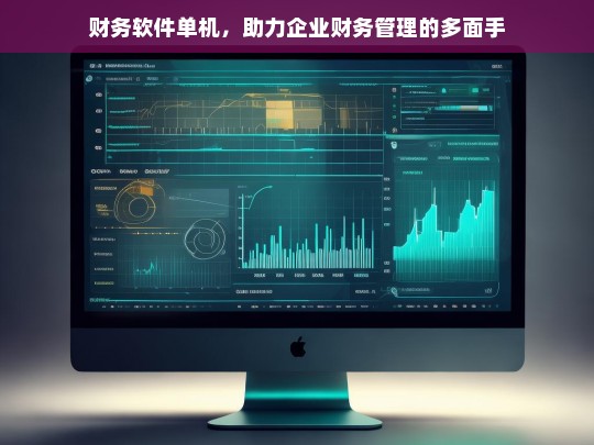 财务软件单机，助力企业财务管理的多面手，财务软件单机，企业财务管理的得力助手