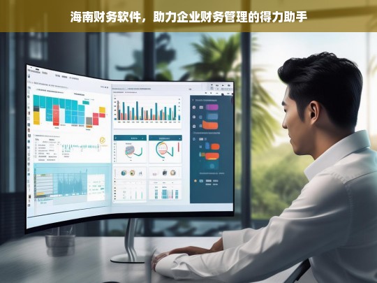 海南财务软件，助力企业财务管理的得力助手，海南财务软件，企业财务管理的得力助手
