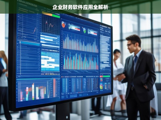 企业财务软件应用全解析，企业财务软件应用解析