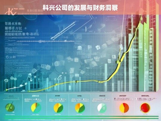 科兴公司的发展与财务洞察，科兴公司发展及财务状况剖析