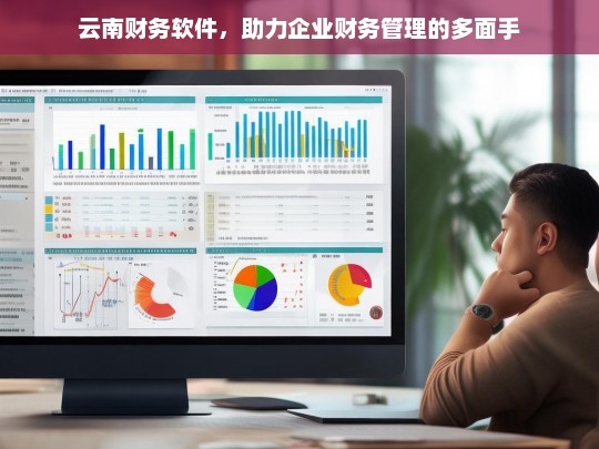 云南财务软件，助力企业财务管理的多面手，云南财务软件，企业财务管理的得力助手