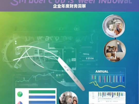 企业年度财务洞察，企业年度财务洞察分析