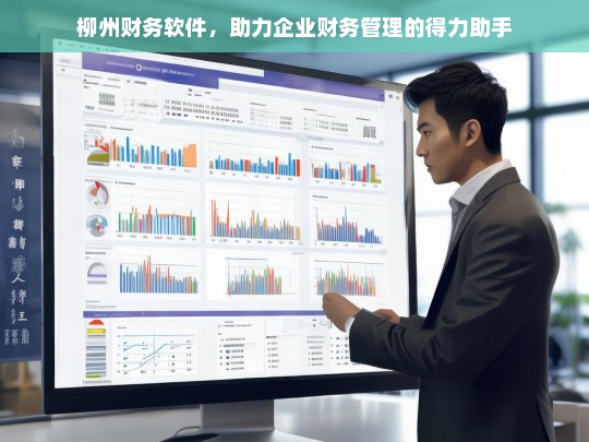 柳州财务软件，助力企业财务管理的得力助手，柳州财务软件，企业财务管理的得力助手