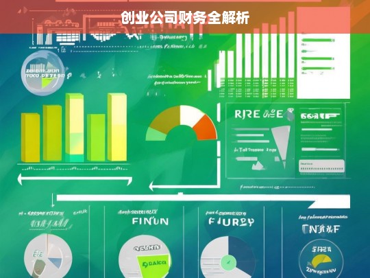 创业公司财务全解析，创业公司财务解析