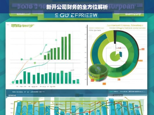 新开公司财务的全方位解析，新开公司财务解析