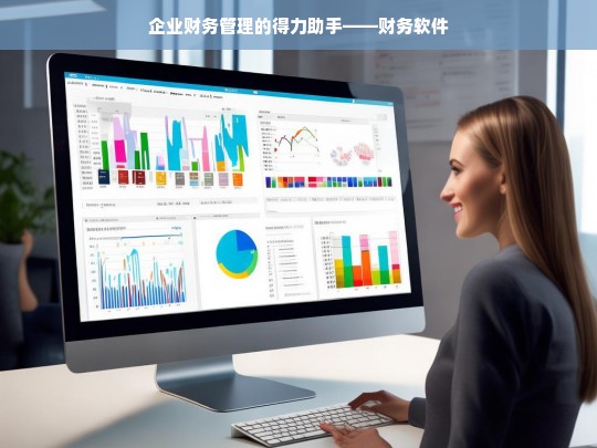 企业财务管理的得力助手——财务软件，财务软件，企业财务管理的得力助手