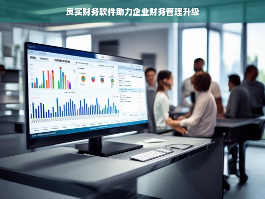 良实财务软件助力企业财务管理升级，良实财务软件，推动企业财务管理升级的得力助手