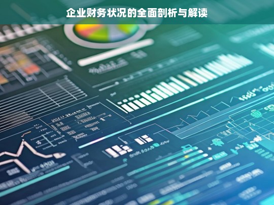 企业财务状况的全面剖析与解读，企业财务状况剖析解读