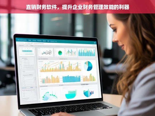 直销财务软件，提升企业财务管理效能的利器，直销财务软件，企业财务管理效能提升之利器