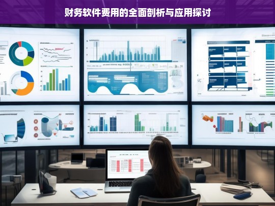 财务软件费用的全面剖析与应用探讨，财务软件费用剖析与应用探讨