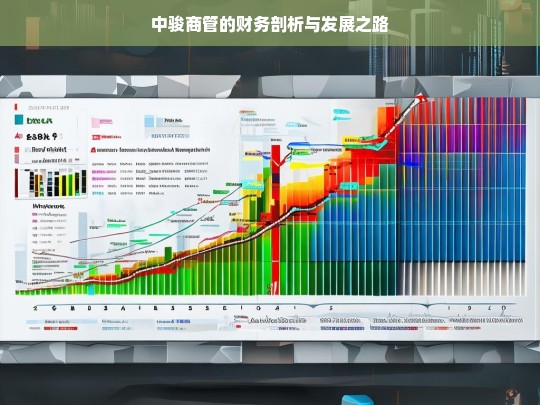 中骏商管的财务剖析与发展之路，中骏商管财务剖析及发展之路探究