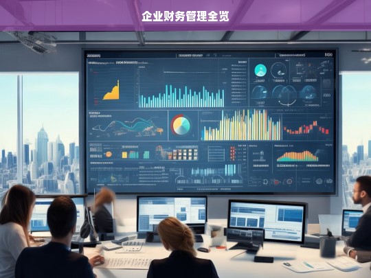 企业财务管理全览，企业财务管理全景解析