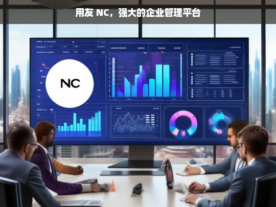 用友 NC，强大的企业管理平台，用友 NC，强大的企业管理平台