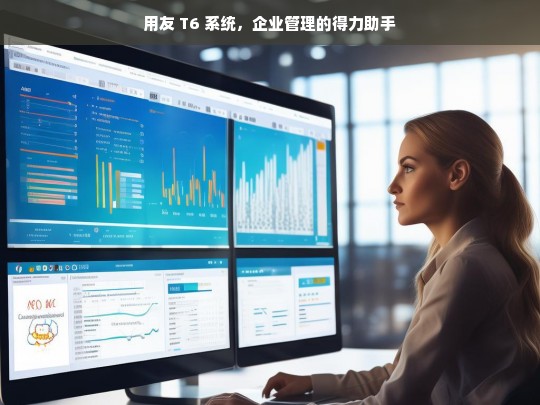用友 T6 系统，企业管理的得力助手，用友 T6 系统，企业管理的得力助手