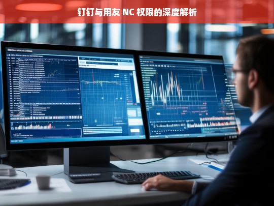 钉钉与用友 NC 权限的深度解析，钉钉与用友 NC 权限解析