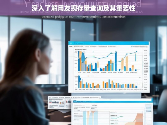 深入了解用友现存量查询及其重要性，用友现存量查询的深度剖析与重要性探讨