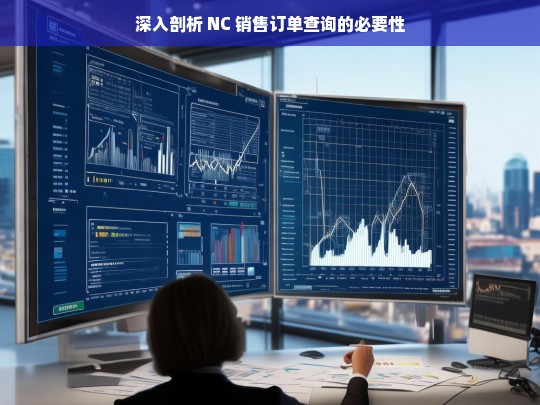 深入剖析 NC 销售订单查询的必要性，NC 销售订单查询必要性之深入剖析