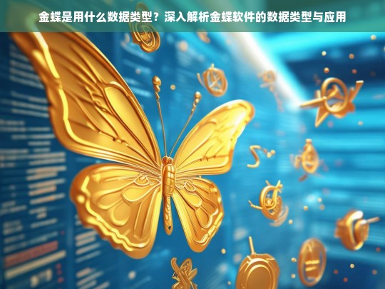 金蝶软件数据类型解析与应用指南